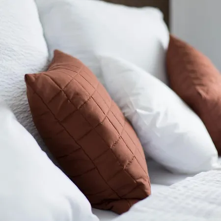 Prestige * 노비 삭츠